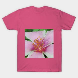 Pollen T-Shirt